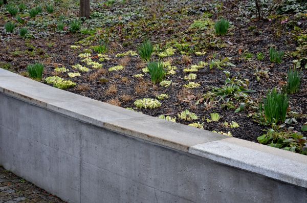 Cost of Concrete Wall Construction in Santa Cruz