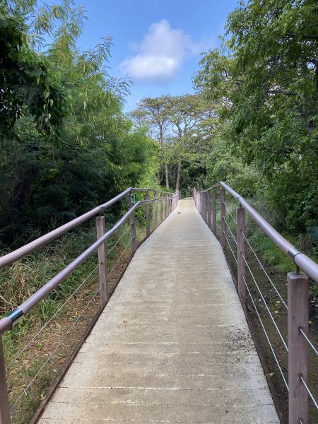 Cost of Footpath Construction in Santa Cruz