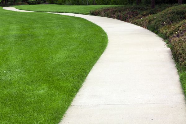 Cost of Pathway Construction in Santa Cruz