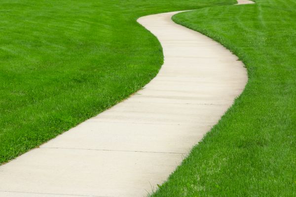 Cost of Walkway Building in Santa Cruz