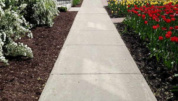Cost of Sidewalk Slab Replacement in Santa Cruz