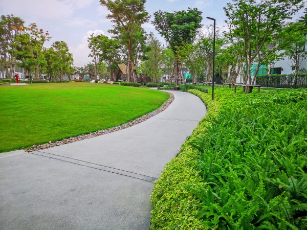 Cost of Cement Walkway Service in Santa Cruz