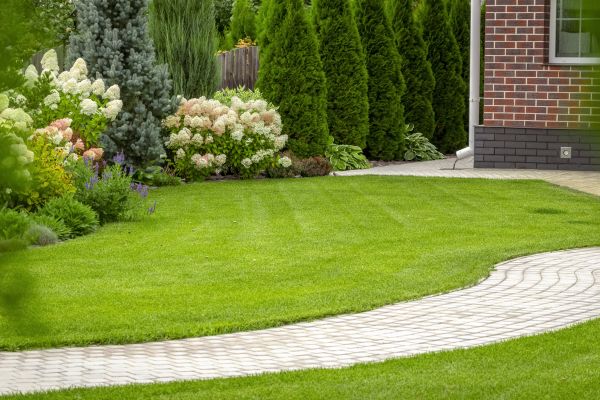 Cost of Landscape Walkway Installation in Santa Cruz